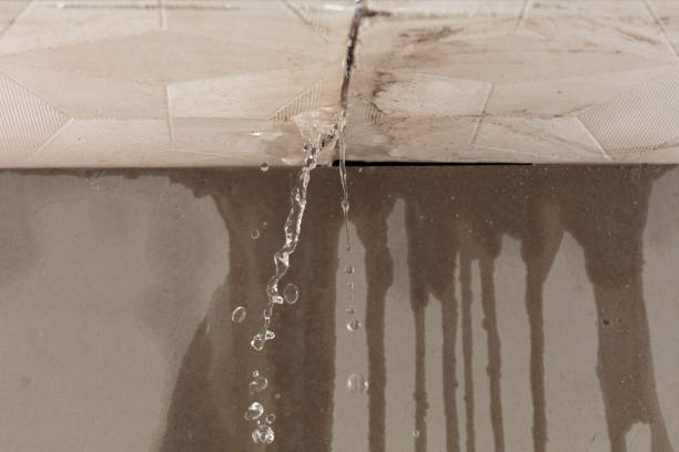 Professional Flood Damage Cleanup technician working in Wellston, MI